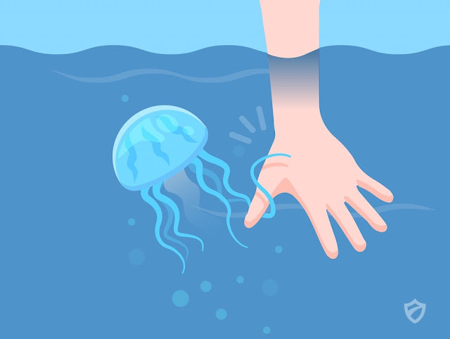 En este momento estás viendo Verano en la playa: Qué hacer si te pica una medusa